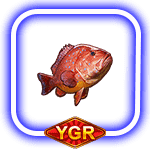 ทดลองเล่น เดโม่ Shark Bounty สัญลักษณ์ ปลากระพงแดง-min